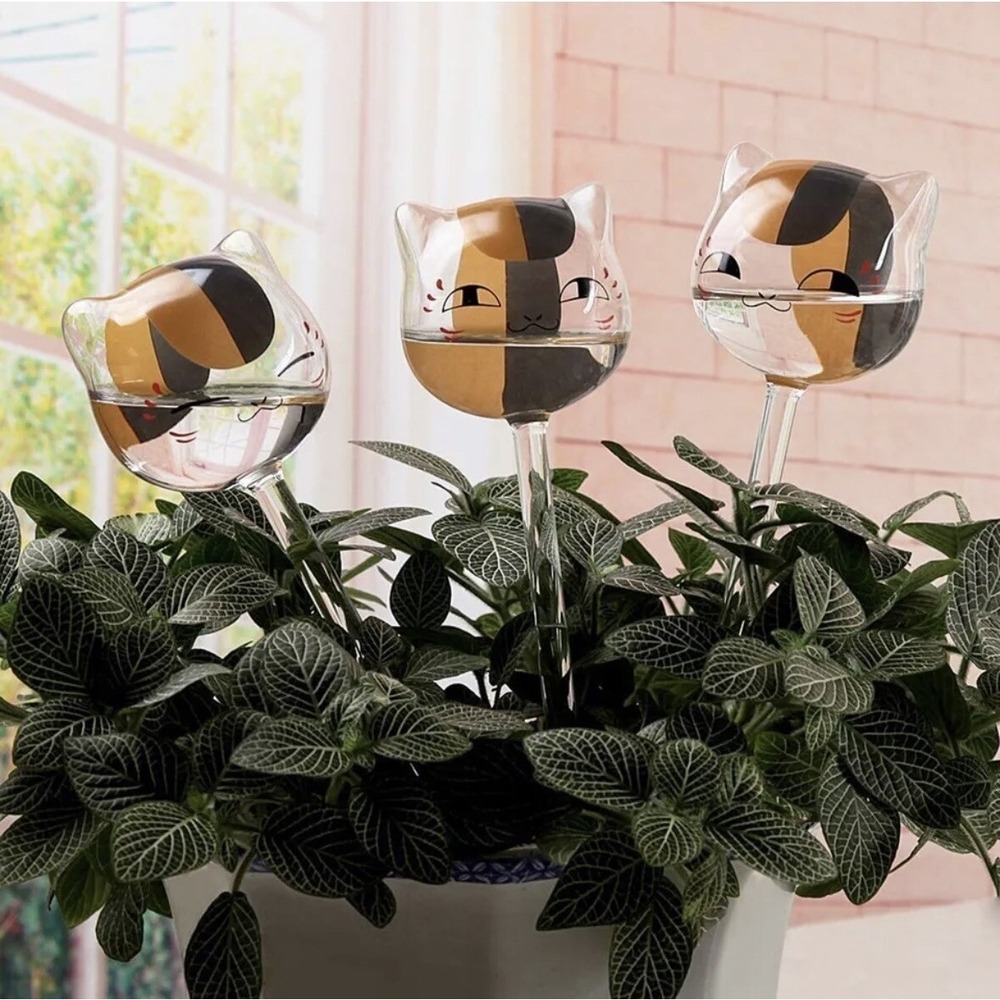 3 Pack Plant Waterer Self Watering Globes, Cute Cat Transparent
